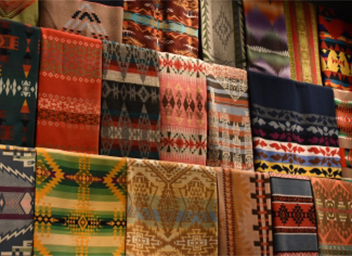 Leather and Textile Plants