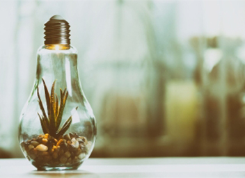 Environmental Impact Assessment